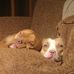 Profile Picture of Paul St Pierre (@paul.stpierre.7777) on Facebook