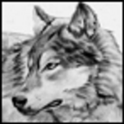 Profile Picture of Chris Murchison (@MaineCreativeDe) on Twitter