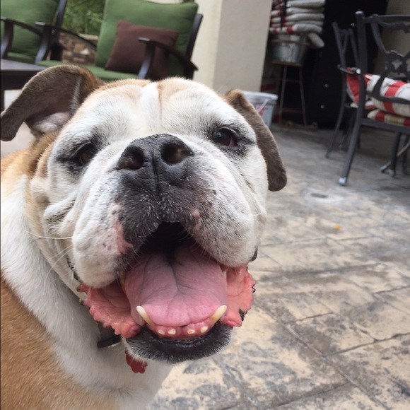 Profile Picture of Kyle Seiler (@kyles7) on Poshmark