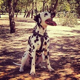 Profile Picture of Jesús Borjas (@borjaspaco) on Pinterest
