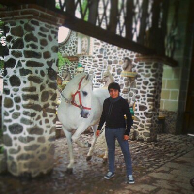 Profile Picture of Mike Bruck (@Mike_Bruck) on Twitter