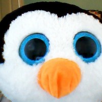 Profile Picture of Dylan Chau (@dylan-chau-1) on Quora