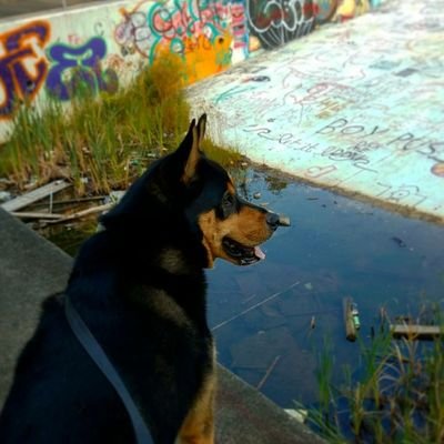 Profile Picture of Scott Delaney (@ArtisticArchaeo) on Twitter