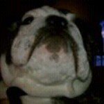 Profile Picture of Max Ponce (@max.ponce.10) on Instagram