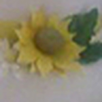 Profile Picture of Cindy Rodriguez (@cake dominicano) on Flickr