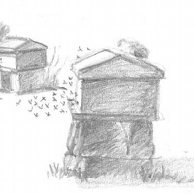 Profile Picture of Michael Thiele (@Naturalapi) on Twitter