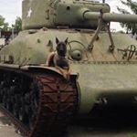 Profile Picture of Mark Ballmann (@mark.ballmann) on Instagram