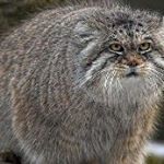 Profile Picture of Alexander Butyagin (@alexanderbutyagin) on Instagram