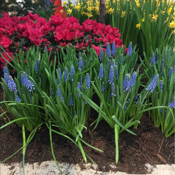 Profile Picture of Erika Vladovich (@erika2681) on Poshmark