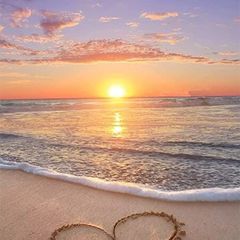 Profile Picture of Allen (@allenbarnet) on Tiktok