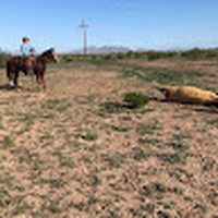 Profile Picture of Shawn Ladue (@shawn-ladue-1) on Quora