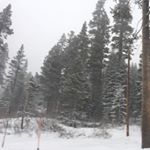 Profile Picture of Seanmichael (@sean_michael_oshiro) on Instagram