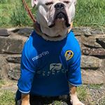 Profile Picture of Christer luthin (@christerluthin) on Instagram