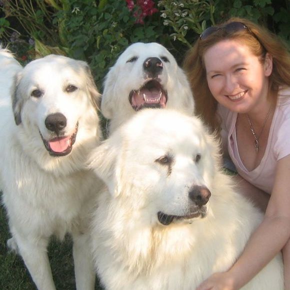 Profile Picture of Lisa Arrasmith (@lisa_arrasmith) on Poshmark