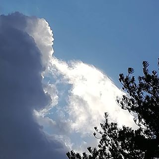 Profile Picture of Marco Mazzocchi (@marcomazzocchi.sgi) on Facebook