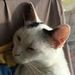 Profile Picture of Katherine Egan (@kegan000) on Pinterest