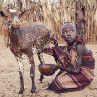 Profile Picture of Dankan Kipchirchir (@dankan-kipchirchir) on Quora