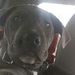 Profile Picture of jake Boucher (@spyjake9) on Pinterest