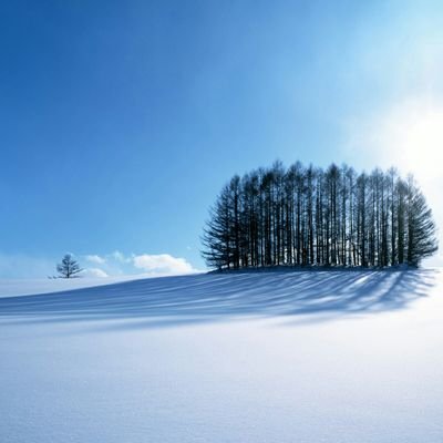 Profile Picture of ɪвяαнɪм, Abufaria (@tajer3ade) on Twitter