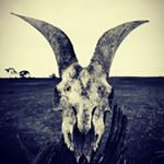 Profile Picture of Dewayne Ray Grant (@dewayneraygrant) on Instagram