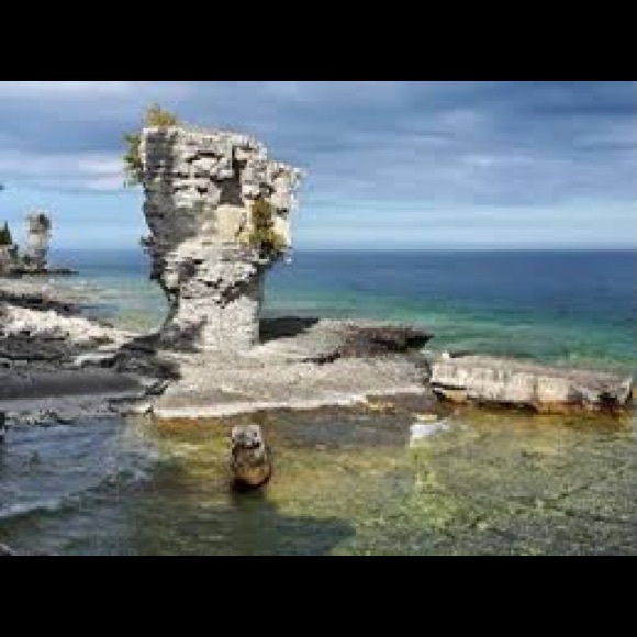 Profile Picture of Kate Zdanowski (@kasia40) on Poshmark