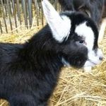 Profile Picture of Michael Stegmaier (@michael.stegmaier.50) on Instagram