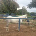 Profile Picture of jose arcay (@arc1105) on Instagram