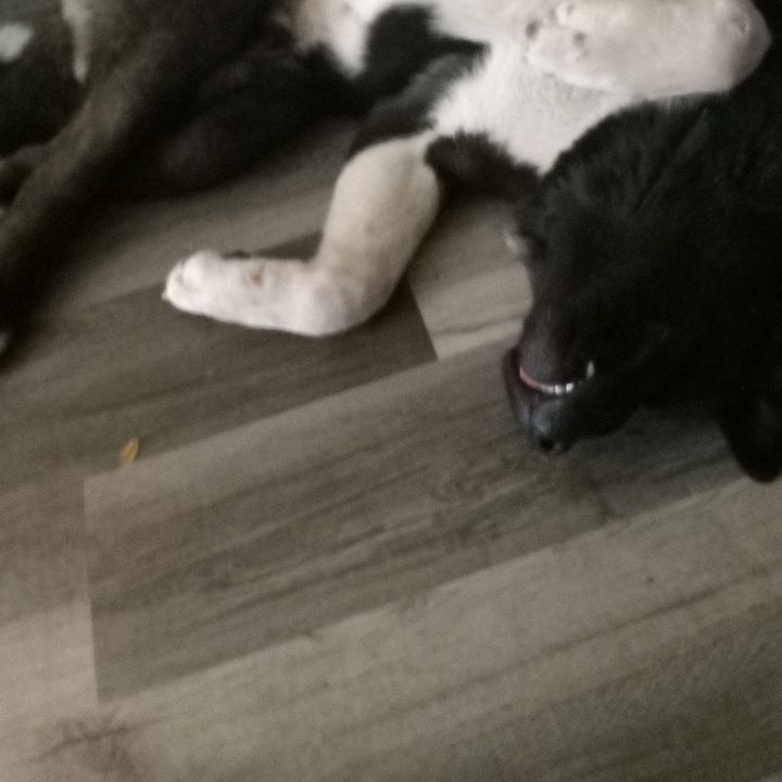Profile Picture of Joe Jetty (@joe.jetty) on Tiktok