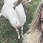 Profile Picture of Clover Fox Farm (@cloverfoxfarm) on Instagram