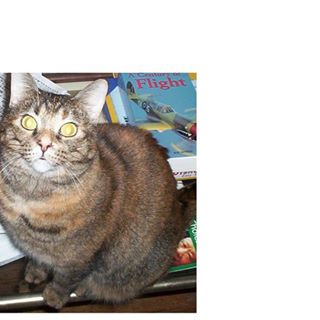 Profile Picture of Zoey Fulton (@zoey.fulton.1) on Facebook