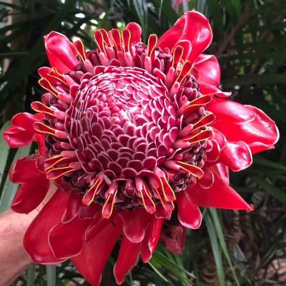 Profile Picture of Gretchen Scheberies (@gscheberies) on Poshmark