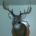 Profile Picture of Rodney Bertsch (@rodney.bertsch.180) on Facebook