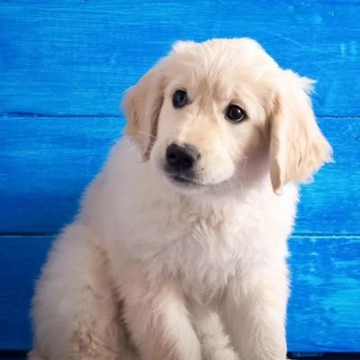 Profile Picture of Vibhuti Patel (@Vibhutipatel193) on Twitter