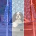 Profile Picture of Pascal Faivre (@pascal.faivre.50) on Facebook