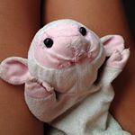 Profile Picture of Emily | 张萧 (@e.zhang) on Instagram