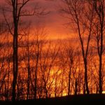 Profile Picture of sarah shay (@sarah_shay_1234) on Instagram