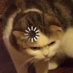 Profile Picture of celeste♡ (@youcloudmyhead) on Instagram