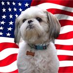 Profile Picture of Leo McCoy (@leomccoyy) on Instagram