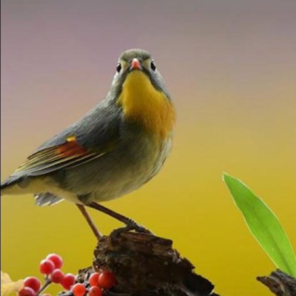 Profile Picture of Keaton Alexander (@keatonalexa487) on Poshmark