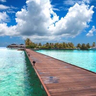 Profile Picture of Jean Francois Barbot (@BarbotJean) on Twitter