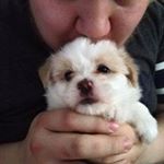 Profile Picture of Richard Öberg (@obergrichard) on Instagram