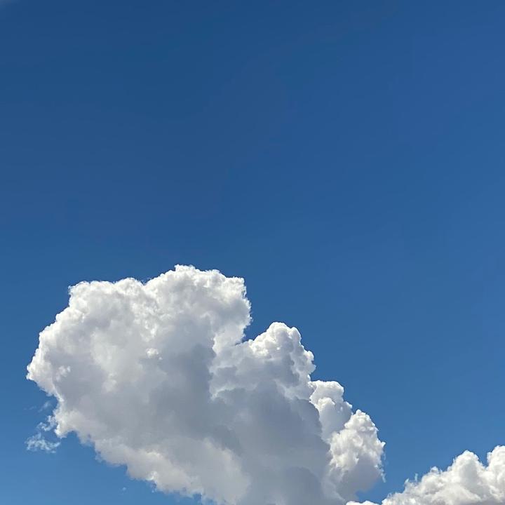 Profile Picture of David Buttler (@pearlpear_67) on Tiktok