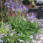 Profile Picture of Peter Atkinson (@peter.atkinson.5268) on Instagram