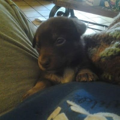 Profile Picture of Darrin Lucas (@DarrinLucas5) on Twitter