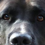 Profile Picture of Adam Conover (@acseven77) on Instagram