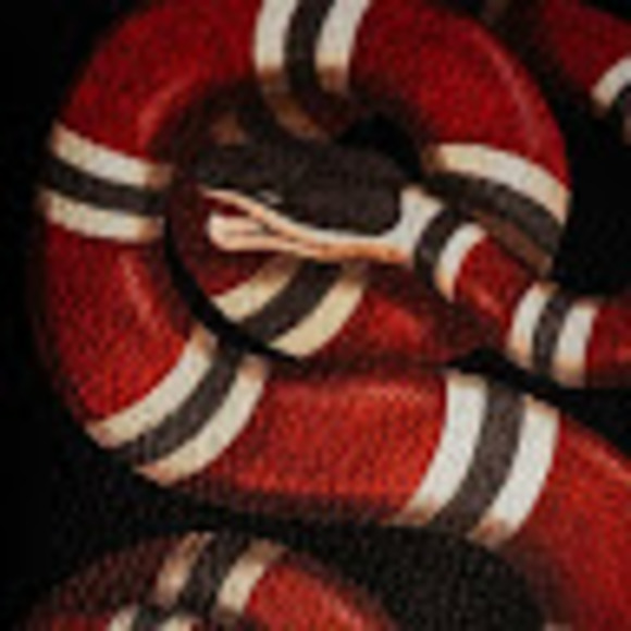 Profile Picture of Jonathan Amaro (@jonathanamaro75) on Poshmark