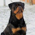 Profile Picture of Daniel Casson (@danielcasson507) on Instagram