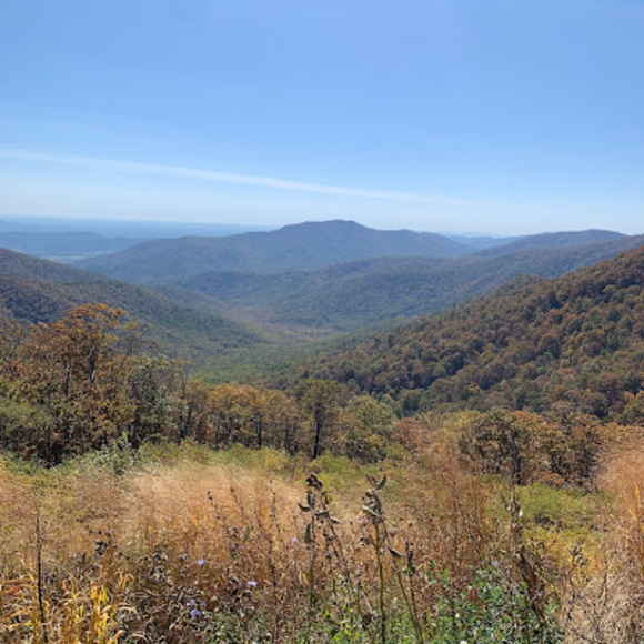 Ava Olsavsky - Poshmark Profile Picture of Ava Olsavsky (@flava14) on Poshmark