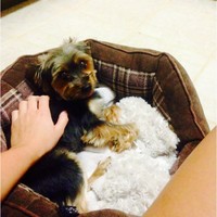 Profile Picture of Bree Watts (@bree-watts-4) on Quora