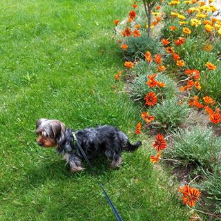 Profile Picture of Arnold Cavanagh (@arnold.cavanagh.7) on Facebook